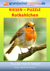 Riesenpuzzle_Rotkehlchen.pdf